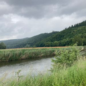 ME/CFS – Besonderheiten in der Begleitung | Online
